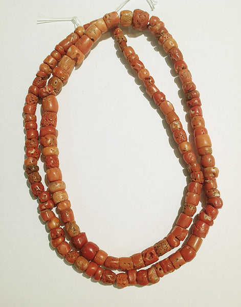 Conus Shell Beads 